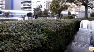 【中文字幕】催眠☆学園 「～剥れ堕ち